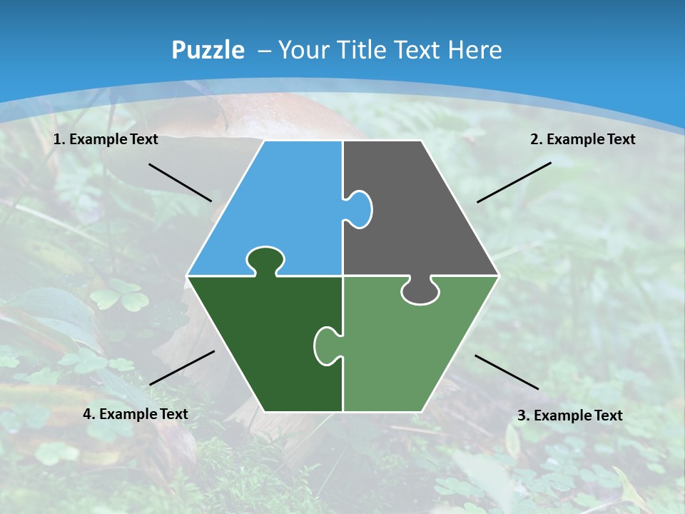 A Group Of Mushrooms In The Forest Powerpoint Template PowerPoint Template