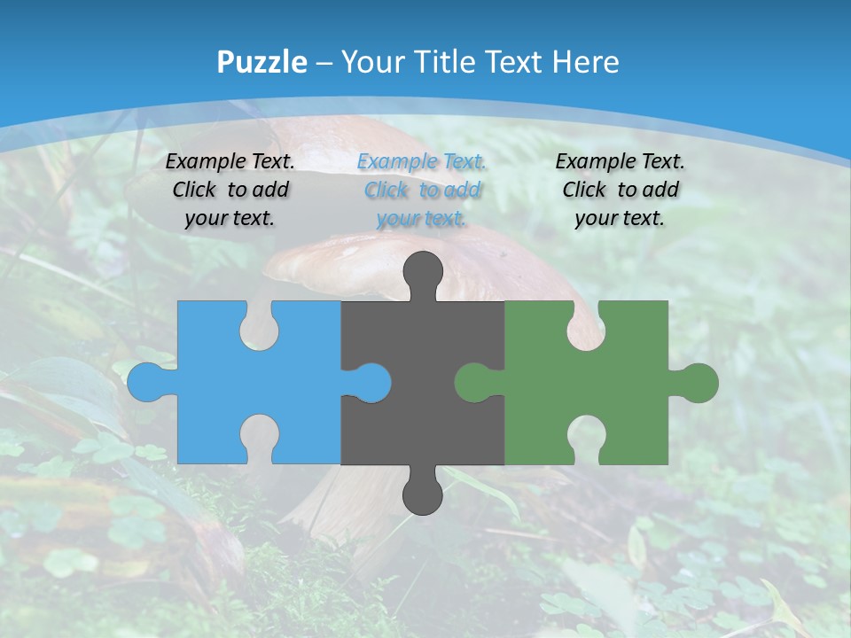 A Group Of Mushrooms In The Forest Powerpoint Template PowerPoint Template