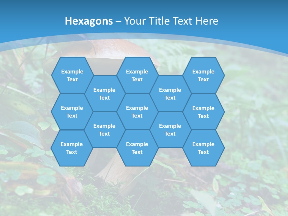 A Group Of Mushrooms In The Forest Powerpoint Template PowerPoint Template