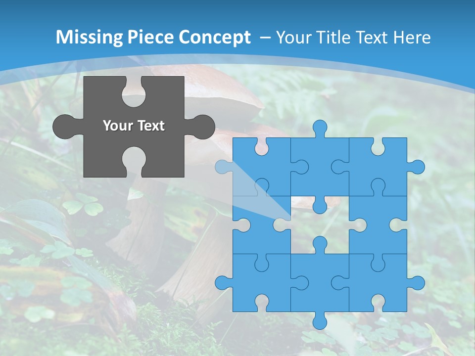 A Group Of Mushrooms In The Forest Powerpoint Template PowerPoint Template