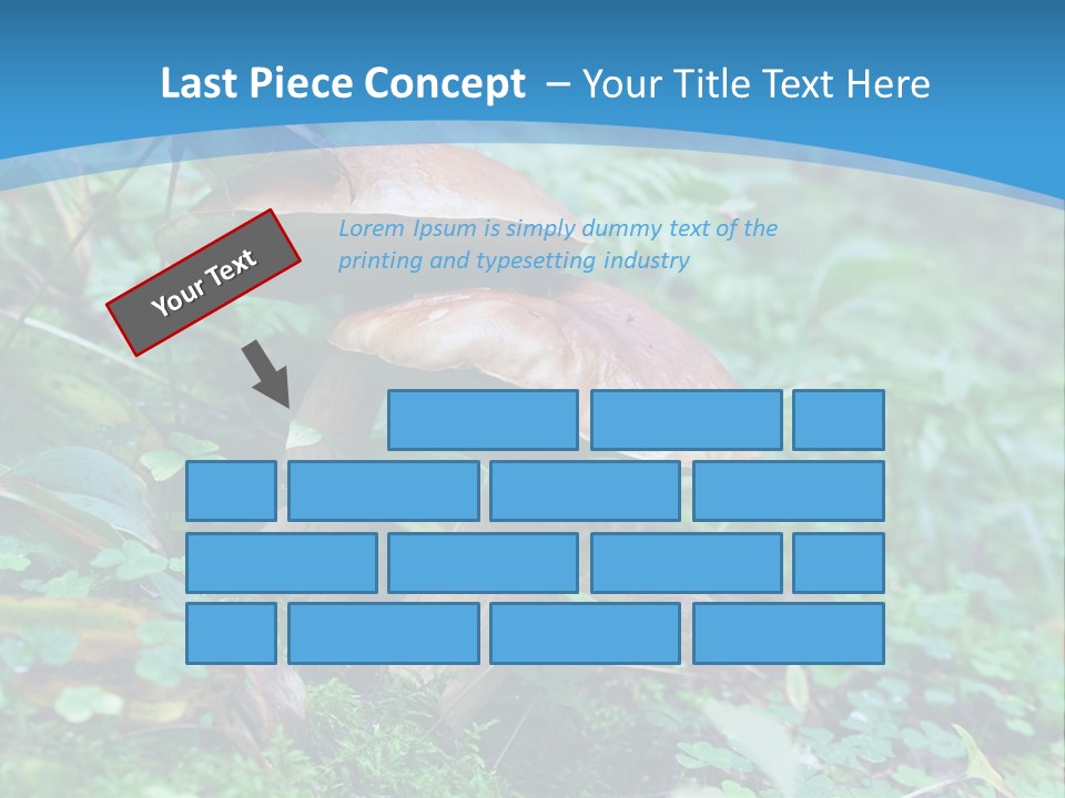 A Group Of Mushrooms In The Forest Powerpoint Template PowerPoint Template