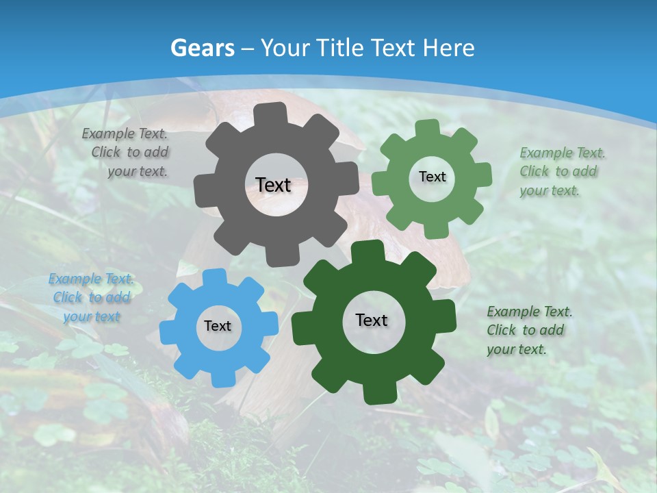 A Group Of Mushrooms In The Forest Powerpoint Template PowerPoint Template