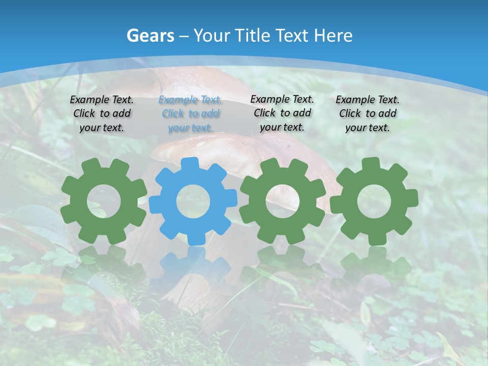 A Group Of Mushrooms In The Forest Powerpoint Template PowerPoint Template