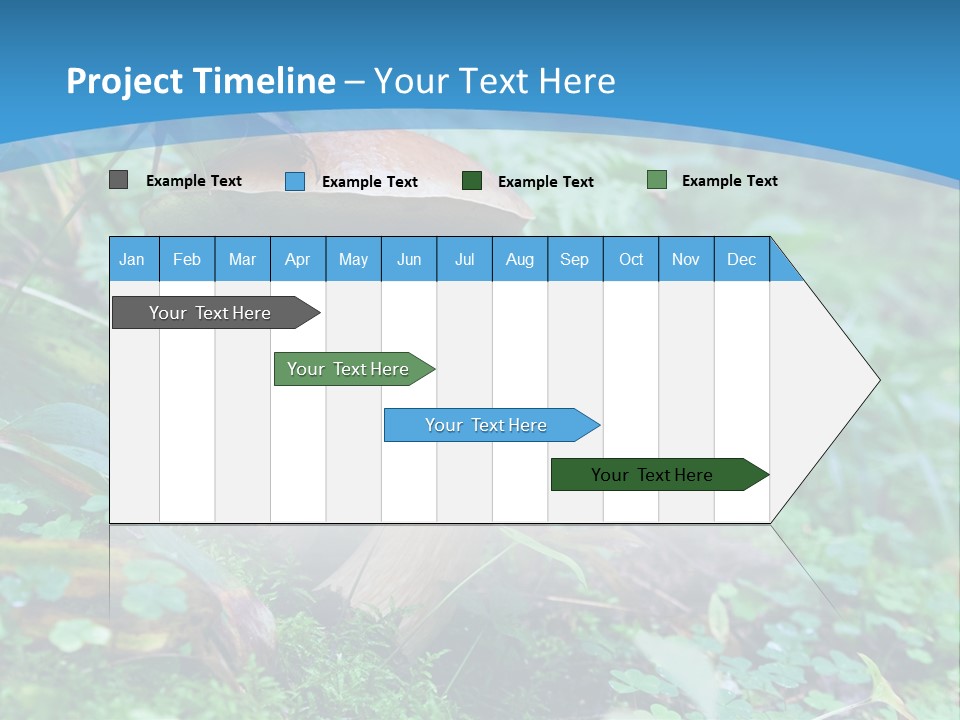 A Group Of Mushrooms In The Forest Powerpoint Template PowerPoint Template