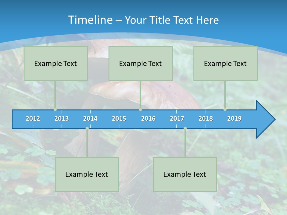 A Group Of Mushrooms In The Forest Powerpoint Template PowerPoint Template