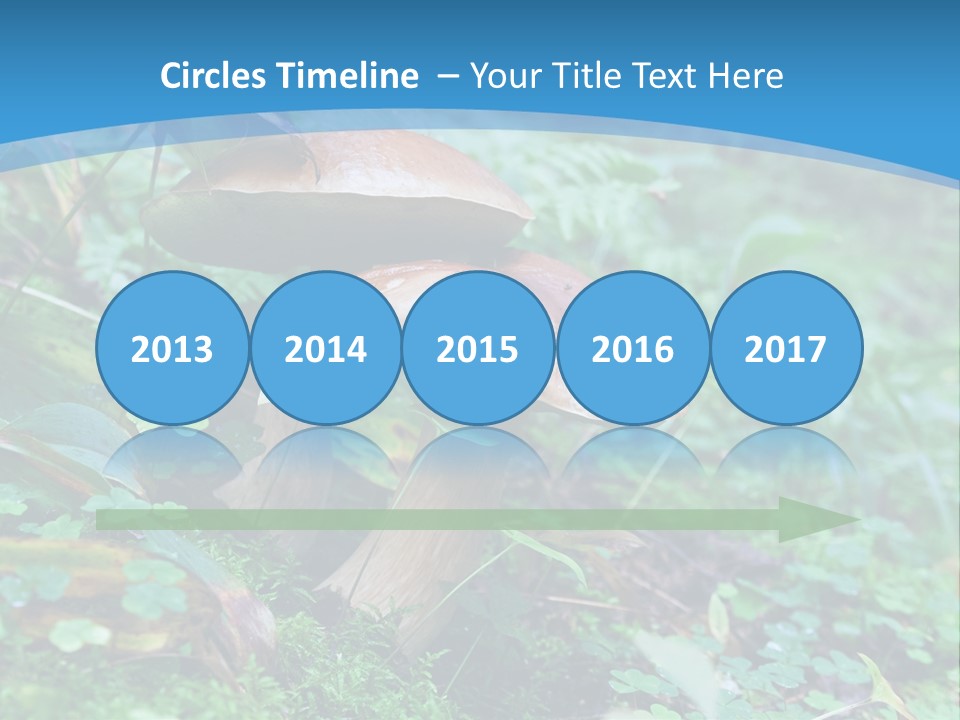 A Group Of Mushrooms In The Forest Powerpoint Template PowerPoint Template