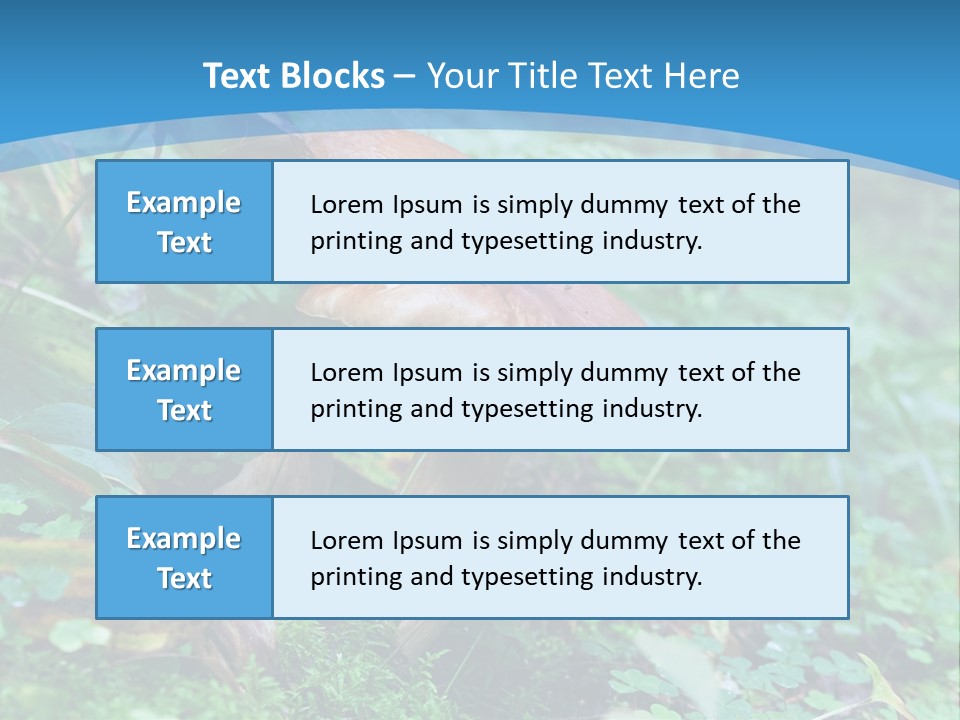 A Group Of Mushrooms In The Forest Powerpoint Template PowerPoint Template