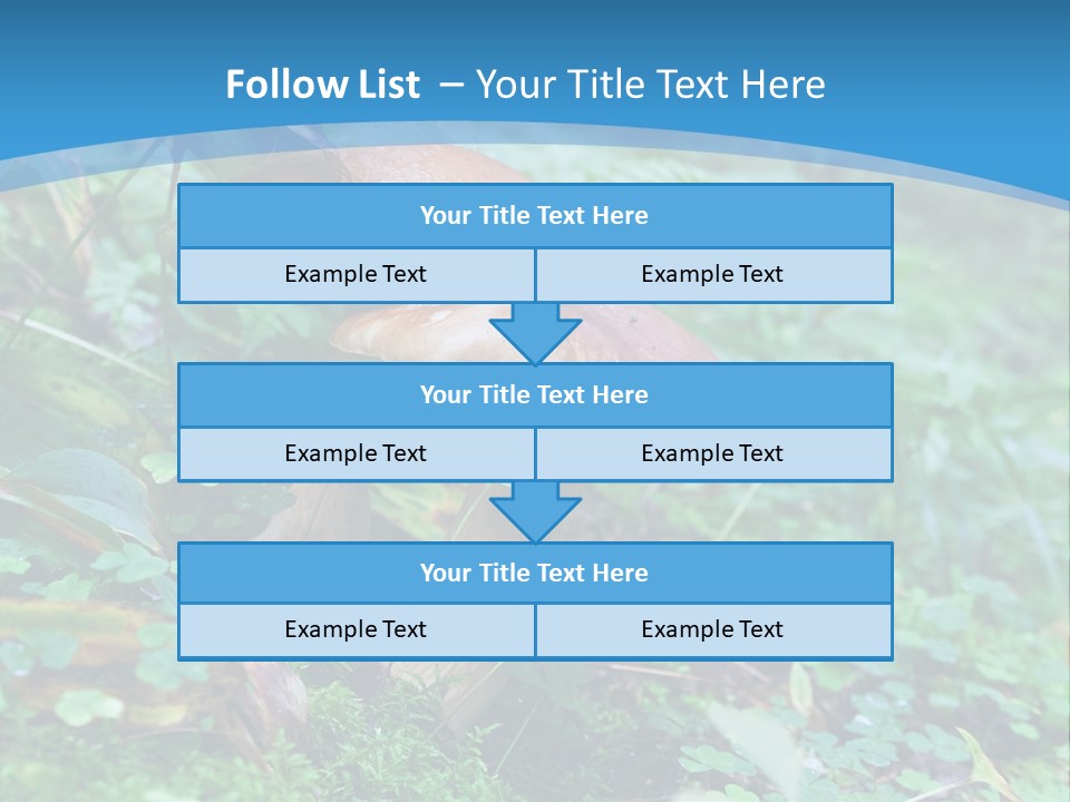 A Group Of Mushrooms In The Forest Powerpoint Template PowerPoint Template