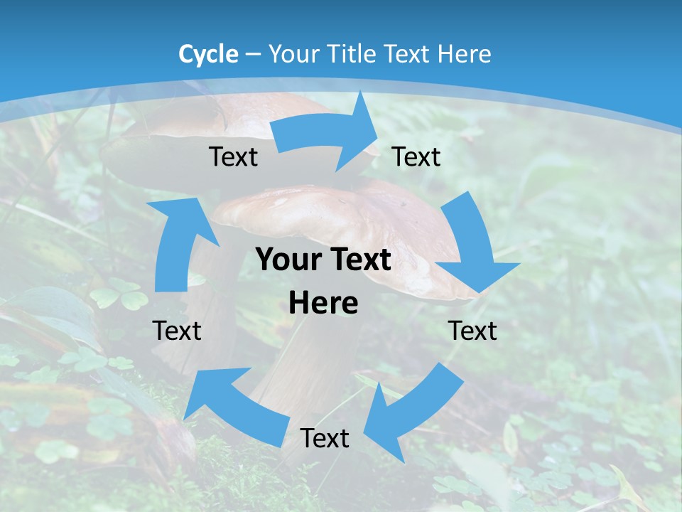 A Group Of Mushrooms In The Forest Powerpoint Template PowerPoint Template