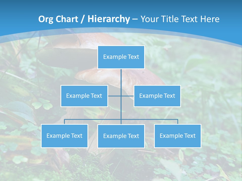 A Group Of Mushrooms In The Forest Powerpoint Template PowerPoint Template