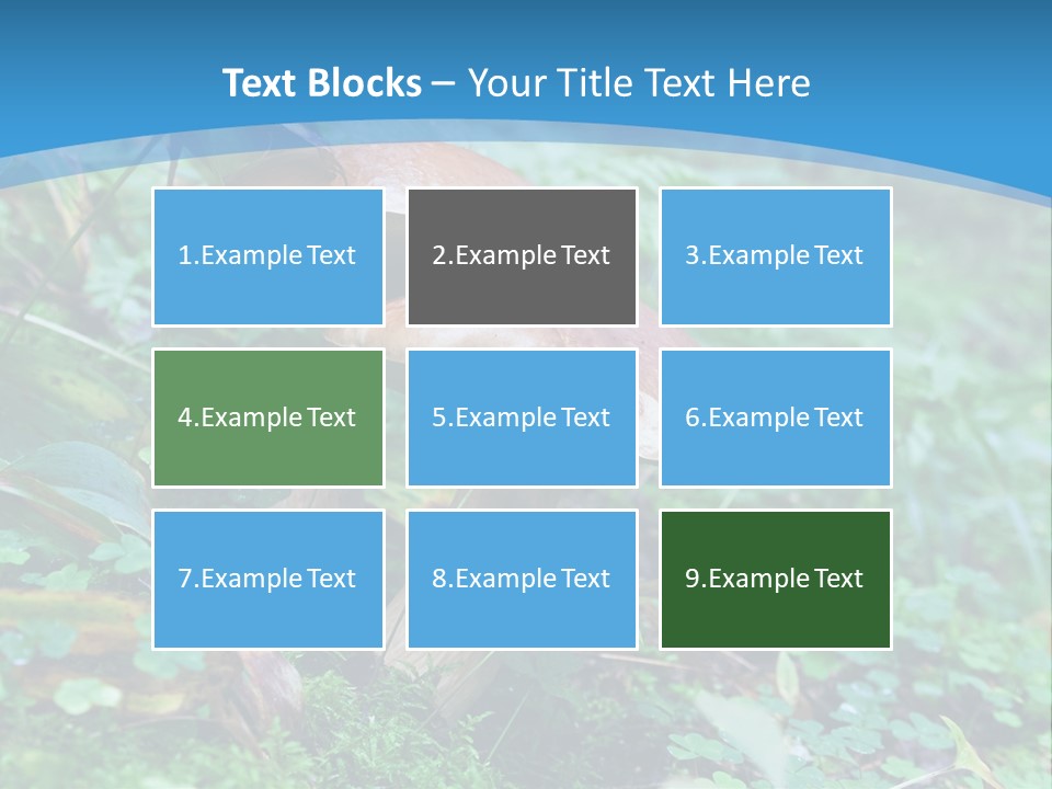 A Group Of Mushrooms In The Forest Powerpoint Template PowerPoint Template