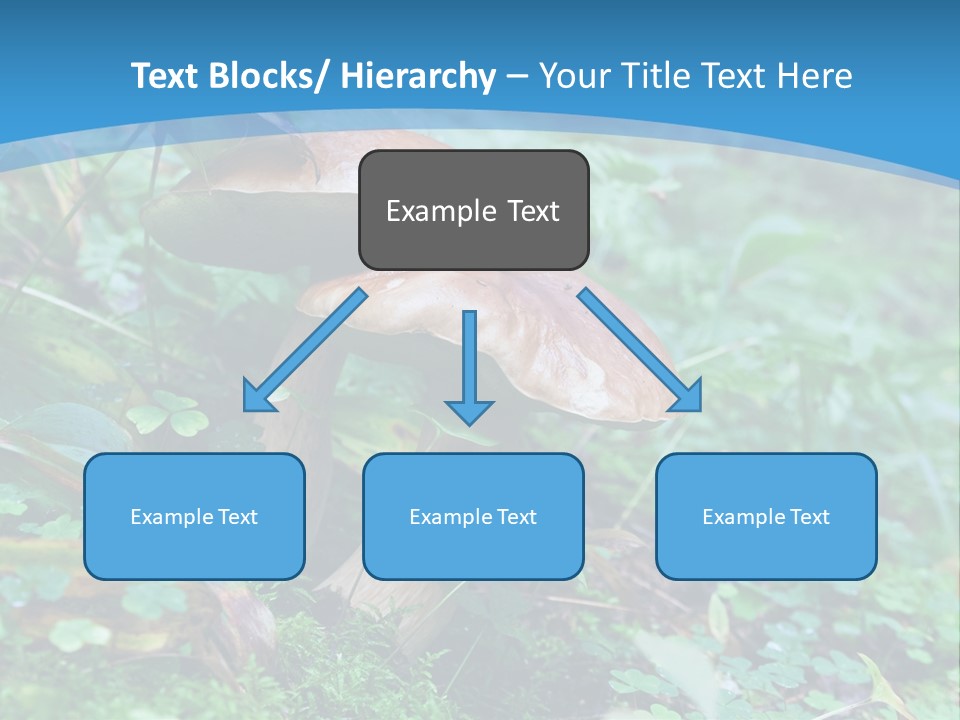 A Group Of Mushrooms In The Forest Powerpoint Template PowerPoint Template