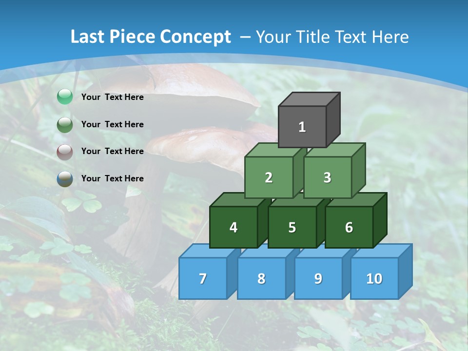 A Group Of Mushrooms In The Forest Powerpoint Template PowerPoint Template