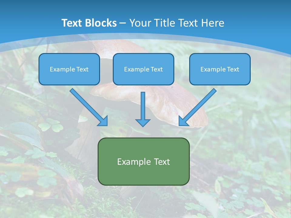 A Group Of Mushrooms In The Forest Powerpoint Template PowerPoint Template