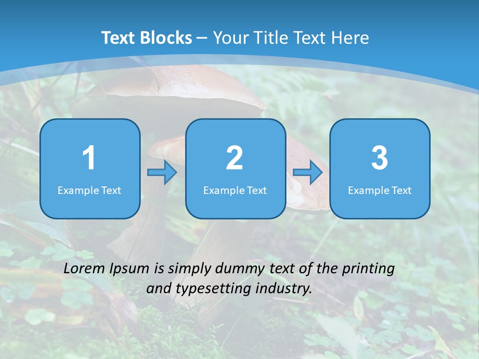 A Group Of Mushrooms In The Forest Powerpoint Template PowerPoint Template
