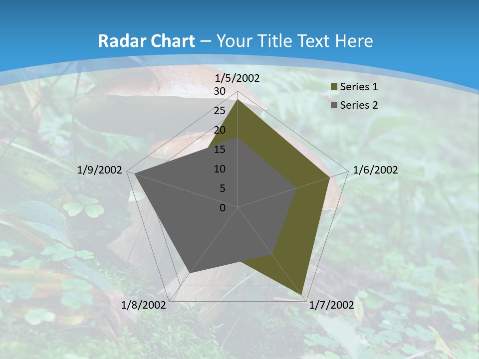A Group Of Mushrooms In The Forest Powerpoint Template PowerPoint Template