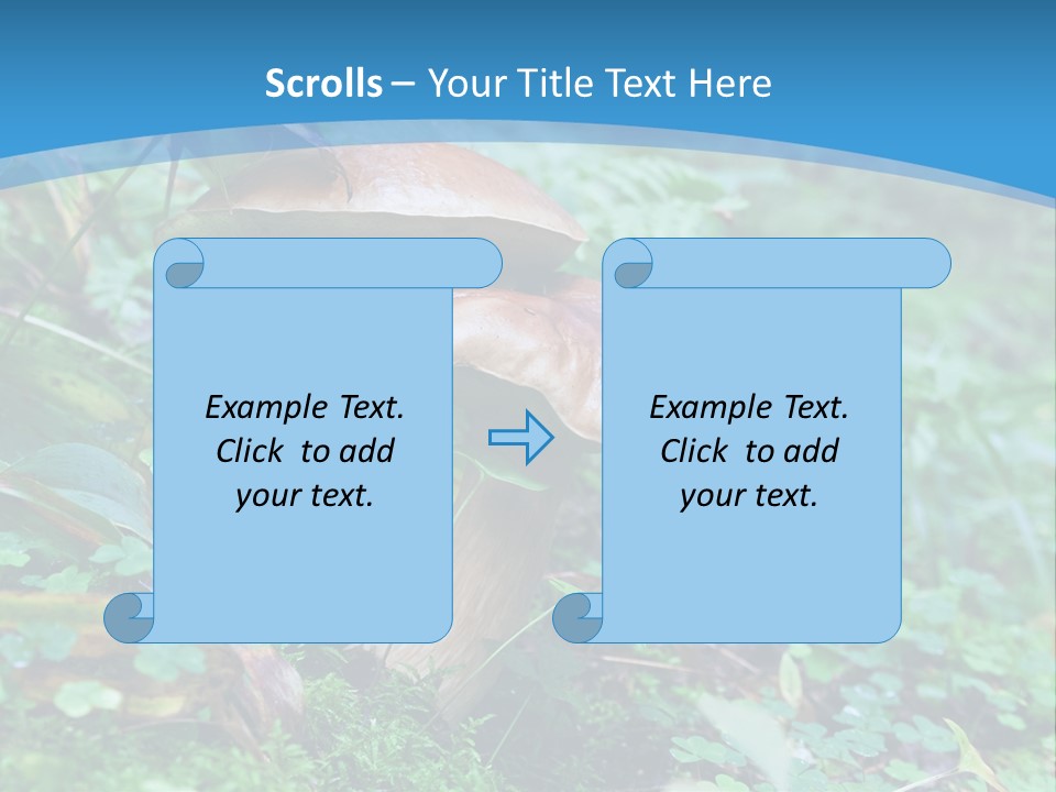A Group Of Mushrooms In The Forest Powerpoint Template PowerPoint Template