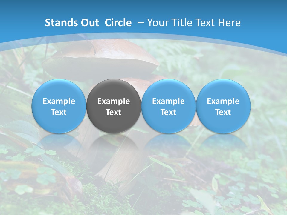 A Group Of Mushrooms In The Forest Powerpoint Template PowerPoint Template