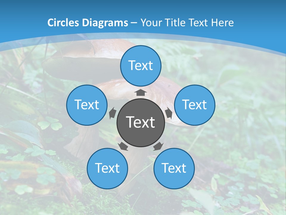 A Group Of Mushrooms In The Forest Powerpoint Template PowerPoint Template