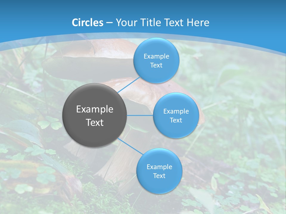 A Group Of Mushrooms In The Forest Powerpoint Template PowerPoint Template