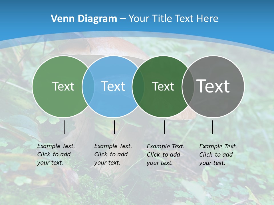 A Group Of Mushrooms In The Forest Powerpoint Template PowerPoint Template