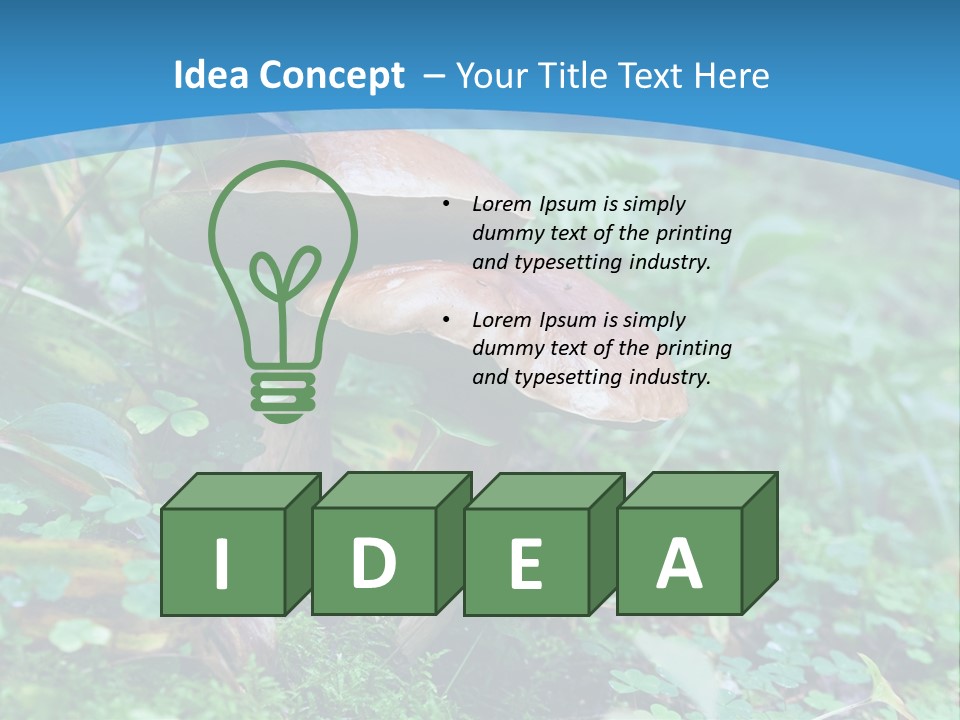 A Group Of Mushrooms In The Forest Powerpoint Template PowerPoint Template