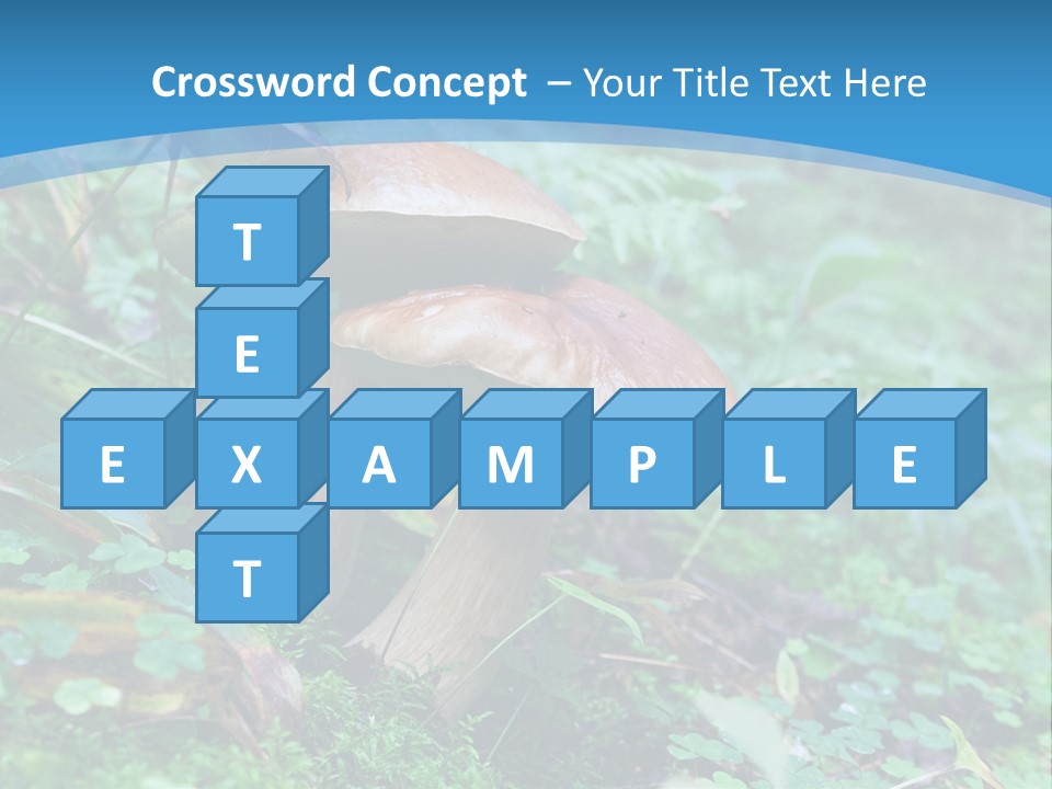 A Group Of Mushrooms In The Forest Powerpoint Template PowerPoint Template