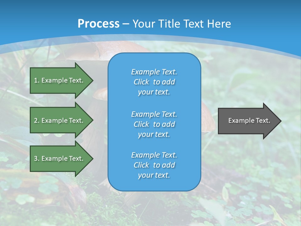 A Group Of Mushrooms In The Forest Powerpoint Template PowerPoint Template