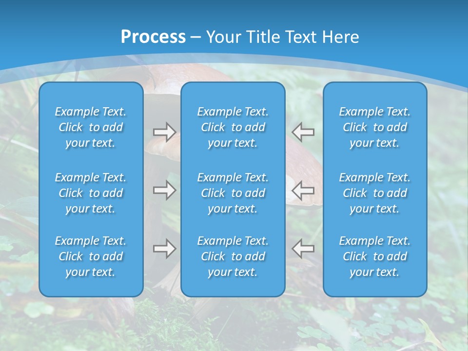 A Group Of Mushrooms In The Forest Powerpoint Template PowerPoint Template