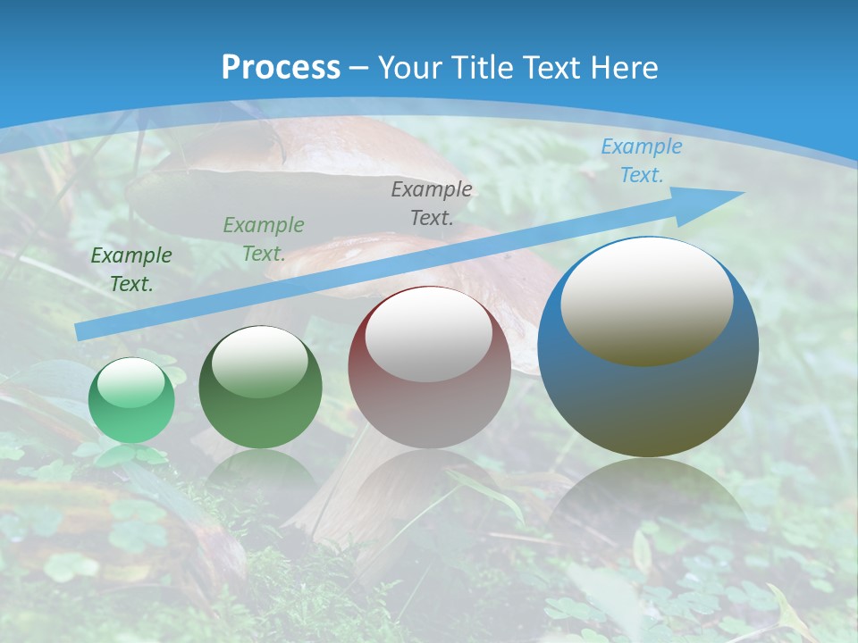 A Group Of Mushrooms In The Forest Powerpoint Template PowerPoint Template