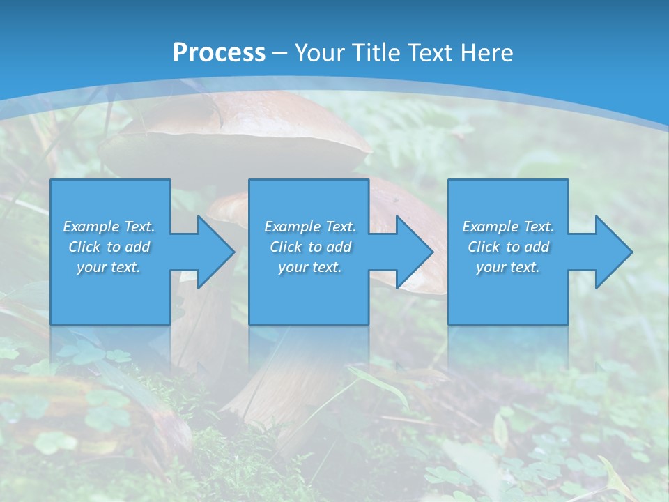 A Group Of Mushrooms In The Forest Powerpoint Template PowerPoint Template
