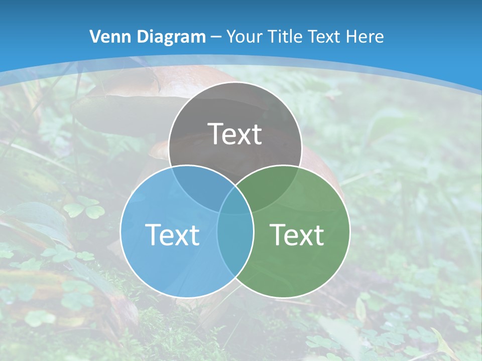 A Group Of Mushrooms In The Forest Powerpoint Template PowerPoint Template