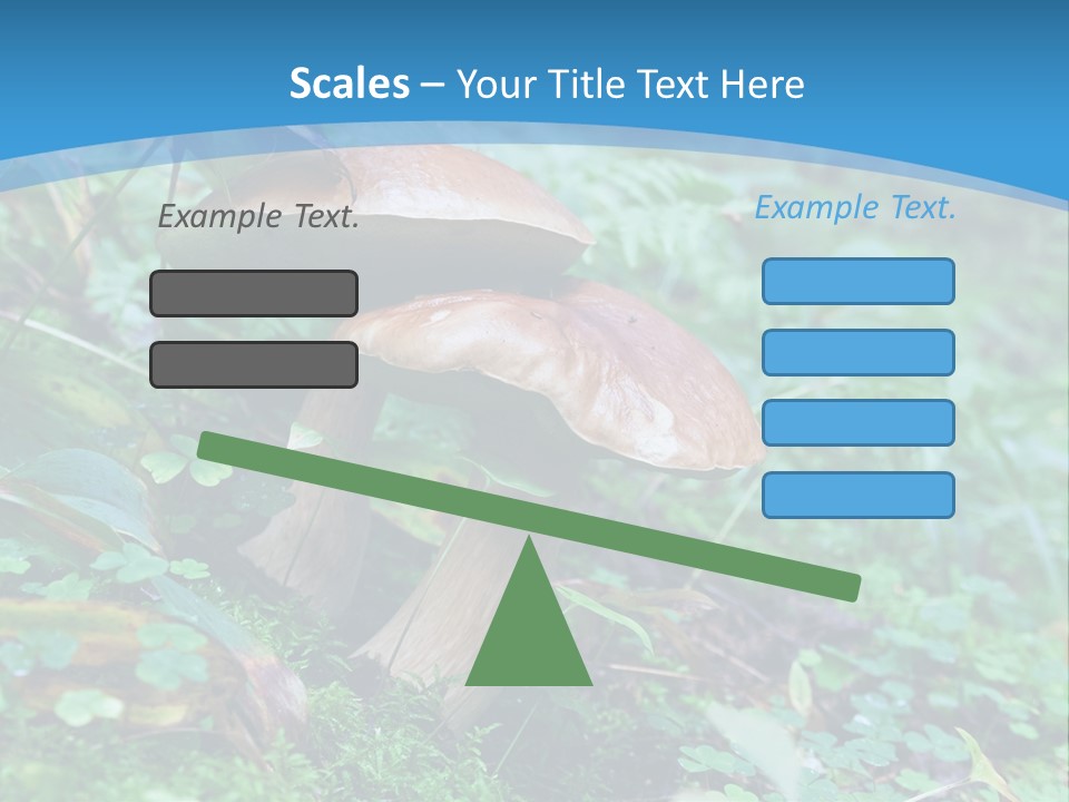 A Group Of Mushrooms In The Forest Powerpoint Template PowerPoint Template