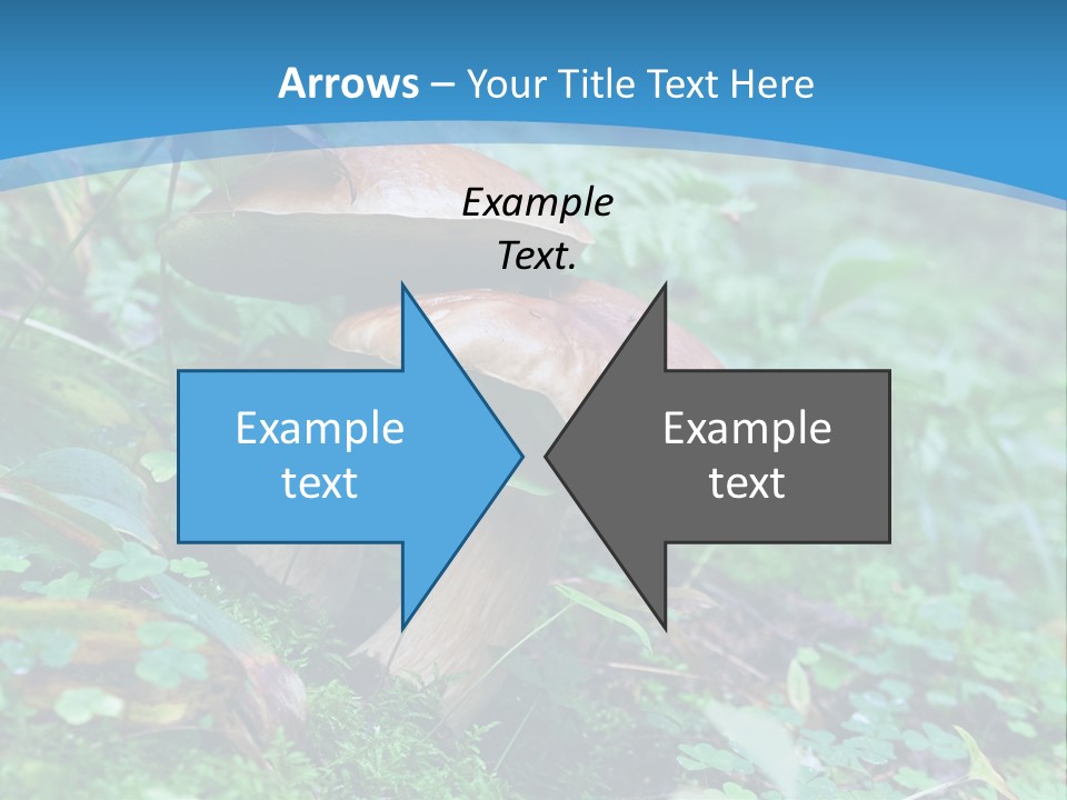 A Group Of Mushrooms In The Forest Powerpoint Template PowerPoint Template