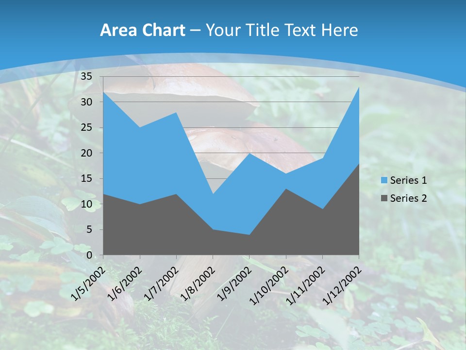 A Group Of Mushrooms In The Forest Powerpoint Template PowerPoint Template