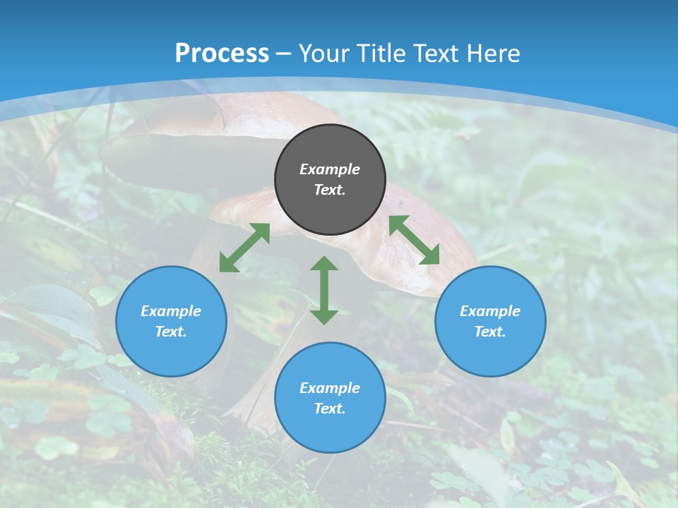 A Group Of Mushrooms In The Forest Powerpoint Template PowerPoint Template