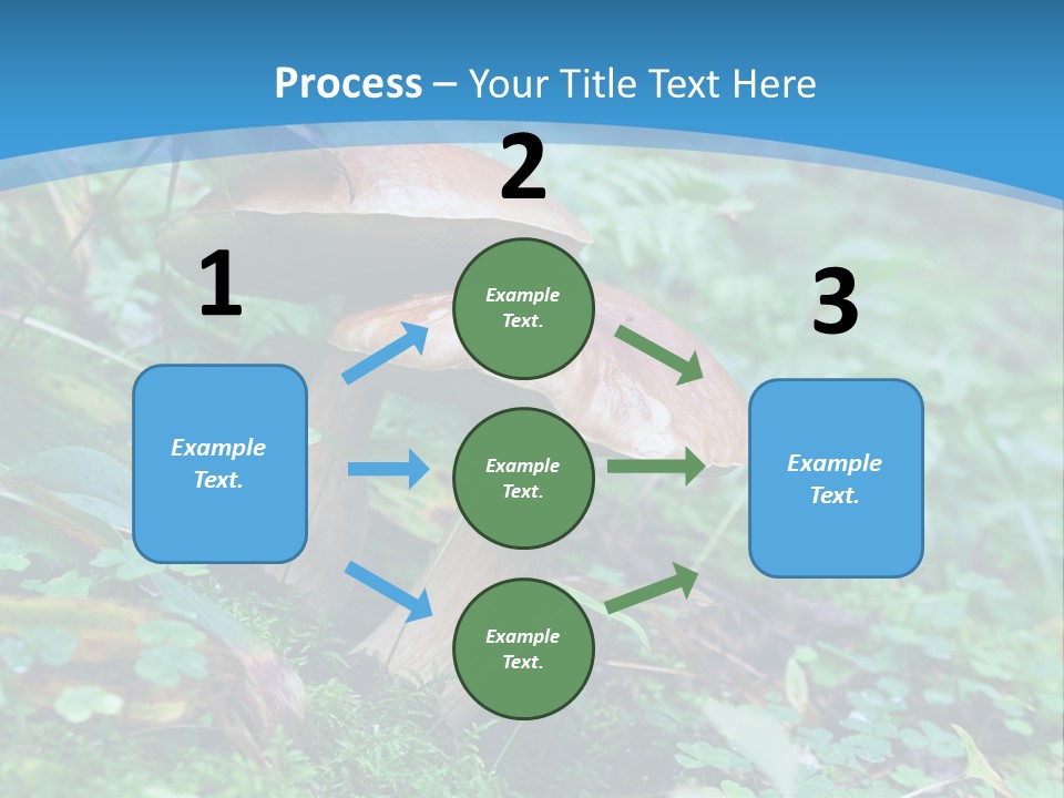 A Group Of Mushrooms In The Forest Powerpoint Template PowerPoint Template