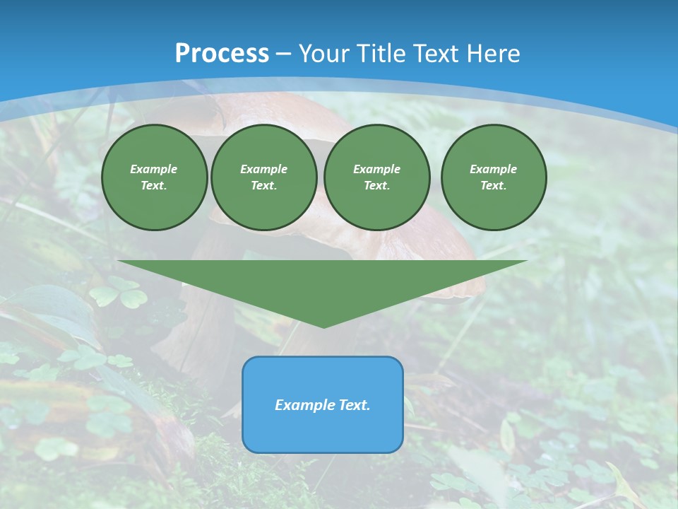 A Group Of Mushrooms In The Forest Powerpoint Template PowerPoint Template