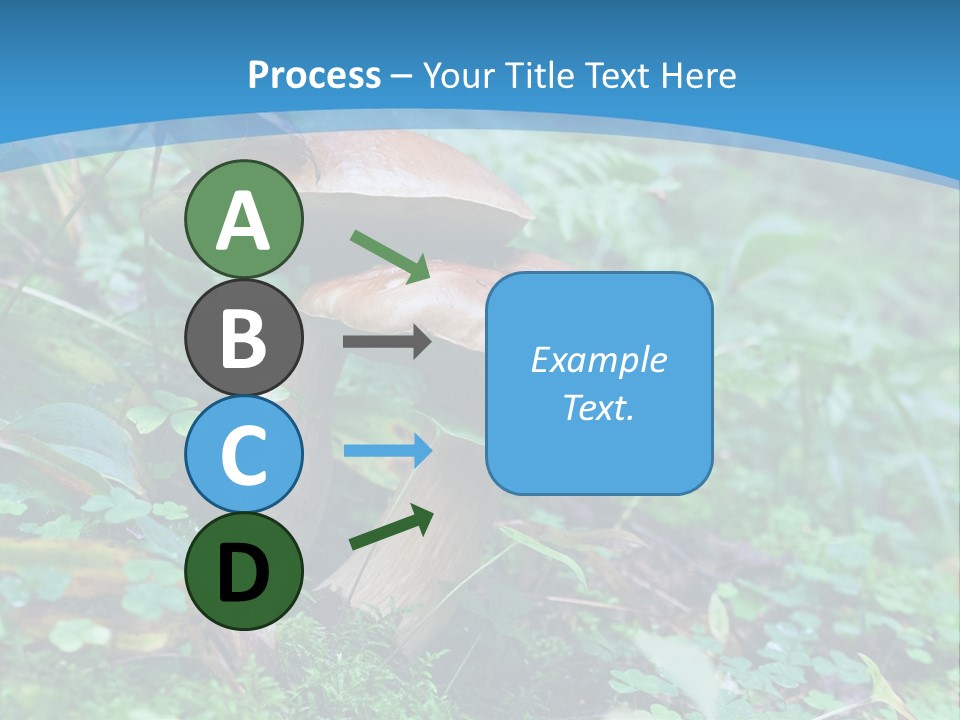 A Group Of Mushrooms In The Forest Powerpoint Template PowerPoint Template