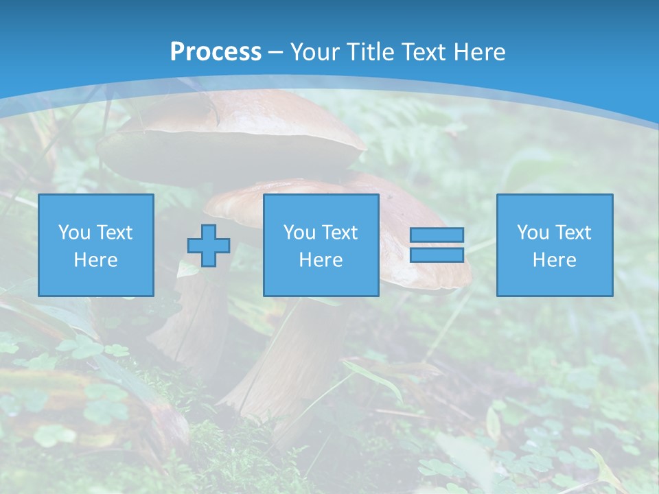 A Group Of Mushrooms In The Forest Powerpoint Template PowerPoint Template