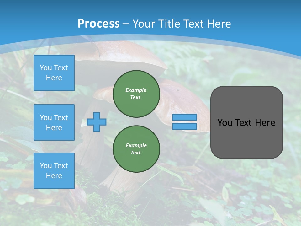 A Group Of Mushrooms In The Forest Powerpoint Template PowerPoint Template