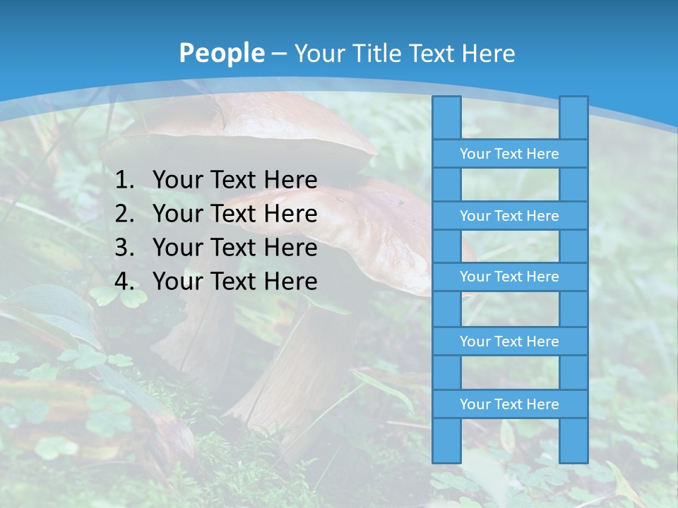 A Group Of Mushrooms In The Forest Powerpoint Template PowerPoint Template