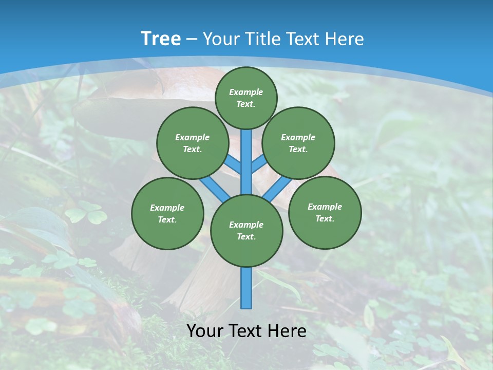 A Group Of Mushrooms In The Forest Powerpoint Template PowerPoint Template