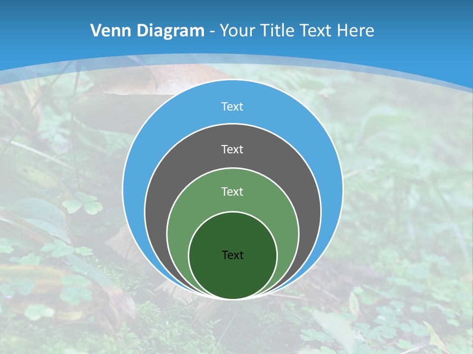 A Group Of Mushrooms In The Forest Powerpoint Template PowerPoint Template