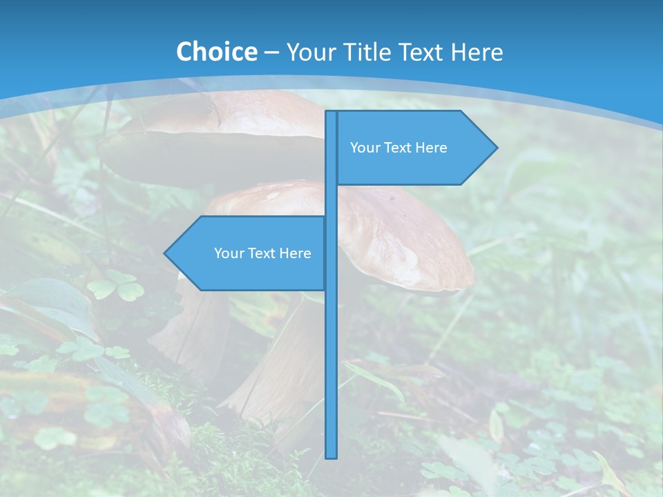A Group Of Mushrooms In The Forest Powerpoint Template PowerPoint Template