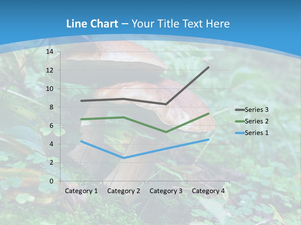 A Group Of Mushrooms In The Forest Powerpoint Template PowerPoint Template