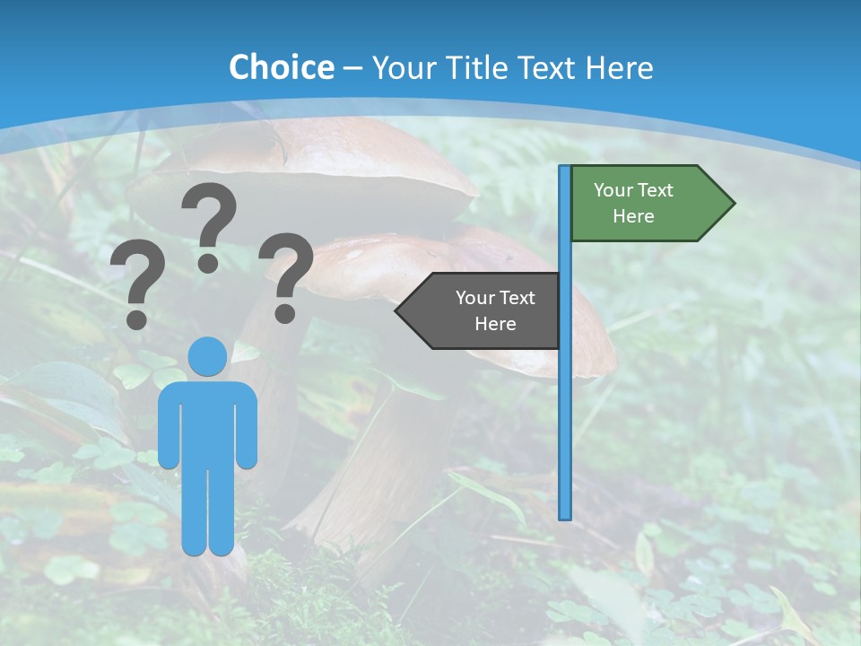 A Group Of Mushrooms In The Forest Powerpoint Template PowerPoint Template