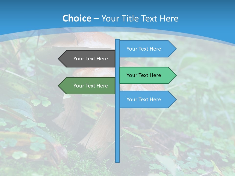 A Group Of Mushrooms In The Forest Powerpoint Template PowerPoint Template