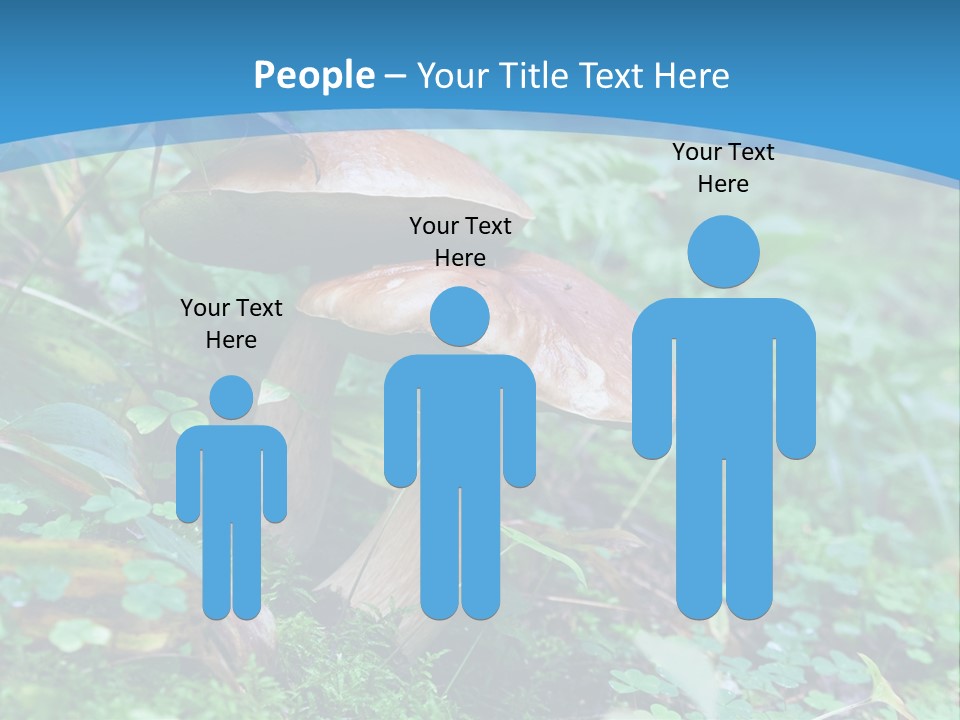 A Group Of Mushrooms In The Forest Powerpoint Template PowerPoint Template