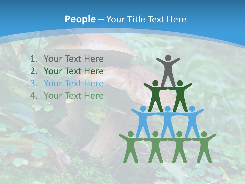 A Group Of Mushrooms In The Forest Powerpoint Template PowerPoint Template